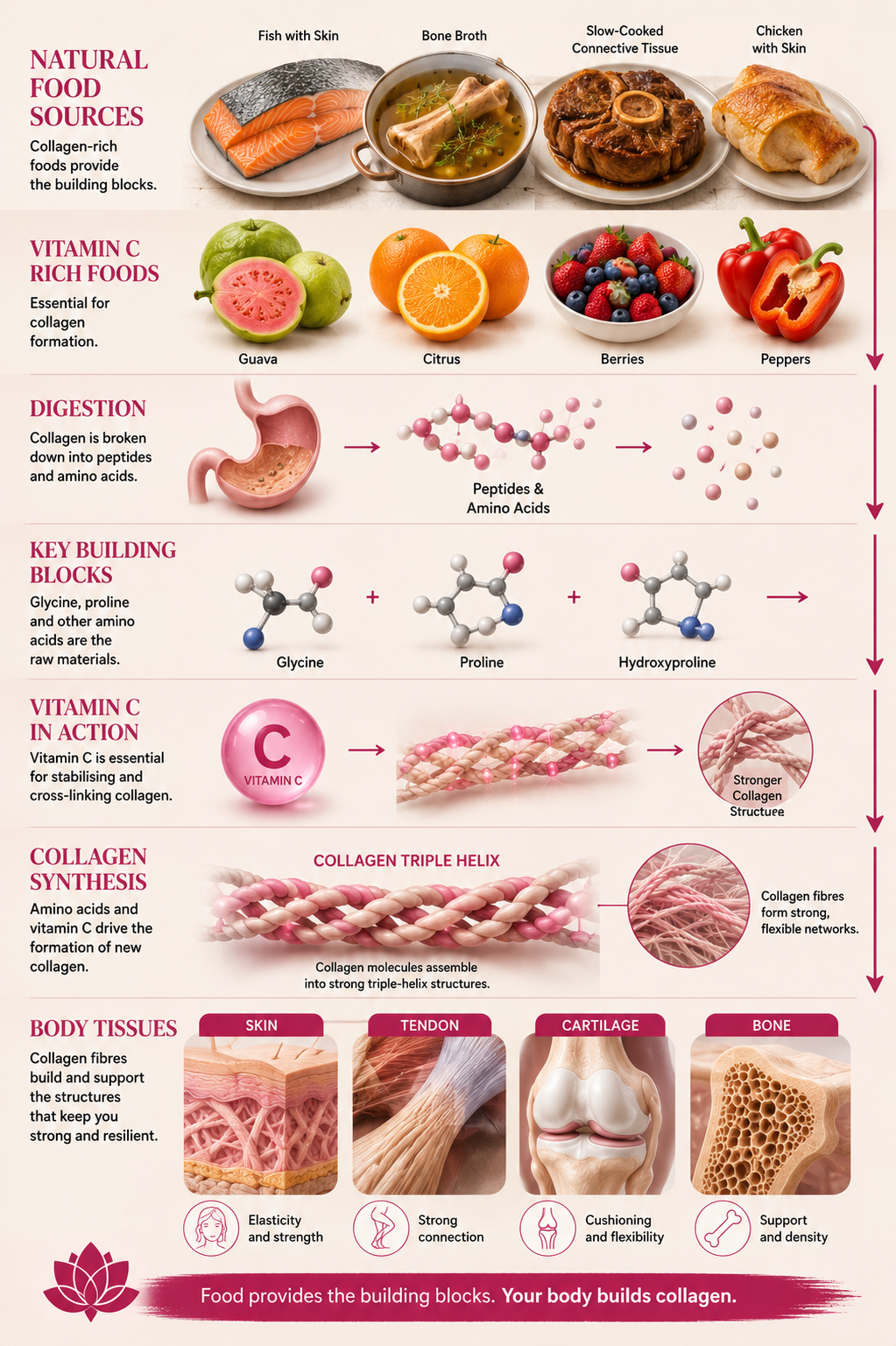 Collagen 2 best collagen for women